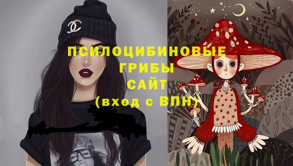 дурь Алзамай