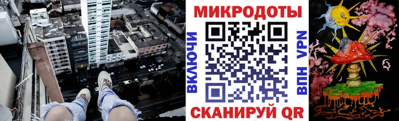 Галлюциногенные грибы Psilocybe  Славск 